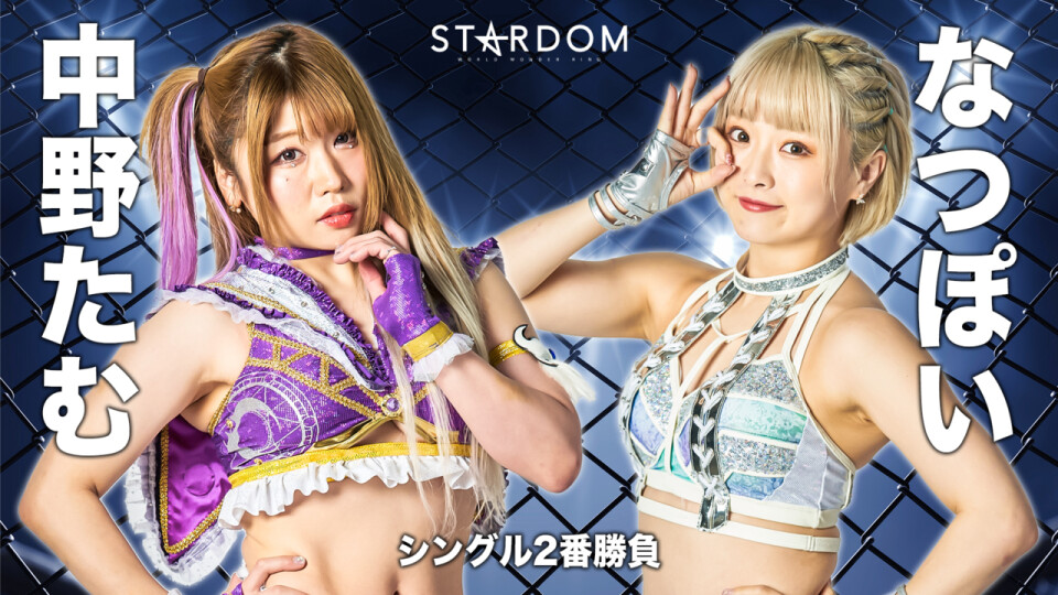 05 Cage Match Stardom World